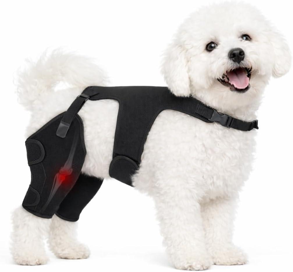 Dog Knee Brace for Torn ACL Hind Leg- Dog Leg Support Brace with Metal Stabilizers for Torn CCL, Limping, Luxating Patella, Ligament Injuries, Hip Dysplasia& Arthritis,XS
