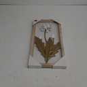 Metal Flower Wall Art Decor 15 Inch White and Gold Floral Sculpture Iron Wall Hanging Decoration