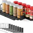 SpaceAid Pull Out Spice Rack Organizer for Cabinet, Heavy Duty Slide Out Seasoning Kitchen Organizer, Cabinet Organizer, with Labels, 5.2" W x10.8 D x4 H, 2 Drawers 1-Tier