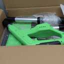 DEGGE Electric Cordless Snow Shovel, 2X 3.0Ah/ 21V/ 12-Inch Battery Snow Blower with Directional Plate & Adjustable Front Handle, Snow Removal for Driveway Sidewalk, Steps, Patio (Charger Included) (Green)