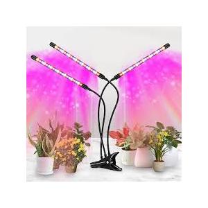 Grow Lights For Indoor Plants