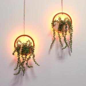 Comtelek 2pcs Artificial Hanging Plants with Lights Fake Succulents Plant in Pot Boho Wall Decor Fake String of Pearls with Lanyard for Bathroom Living Room Home Balcony Ceiling (Wood)