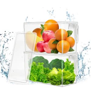 2 Pack Fruit Containers for Fridge, Stackable Ice Container for Freezer with Handles, Clear Pantry Organization and Storage, Kitchen Organization for Food Vegetable Salad with Lids