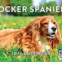 Cocker Spaniel Calendar 2026 Wall 12 Month Monthly Cocker Spaniels Gifts For Cocker Spaniel Lovers Women Men Mom Dad | American Made In The USA