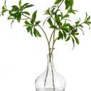 Hewory Large Glass Vase for Decor, 10in Clear Tall Farmhouse Decorative Floor Vase, Round Bubble Balloon Glass Jug for Coffee Table Fireplace Mantel Entryway Living Room Bedroom Kitchen