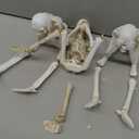 Halloween Skeleton Statues Set of 3  See No Evil, Hear No Evil, Speak No Evil, Resin Skull Figurines for Gothic Home Decorations, Shelf Mantel Decor, Tabletop Halloween Decor Indoor (3-Piece Set)