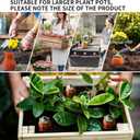 Terracotta Watering Spikes Large Clay Watering Globes Automatic Waterer for Self Water Plant Insert While on Vacation