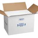 Polar Tech 266C Thermo Chill Insulated Carton with Foam Shipper, Large, 19" Length x 12" Width x 16" Depth