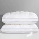 QUTOOL Luxury Hotel Goose Feather Pillow, 100% Cotton Cover, Soft Support Pillow, Suitable for Sleepers on The Back, Sides, and Stomach, Standard Size Bed Pillows Set of 2 (White)