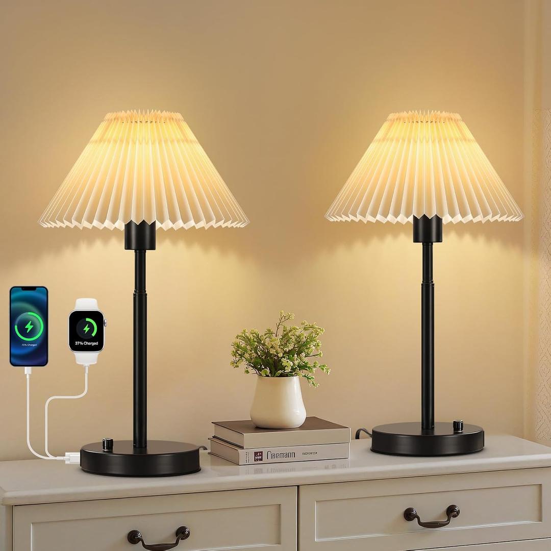 RUIYEY Bedside Table Lamp Set of 2: Dimmable Nightstand Bedside Lamps with USB A and C Ports, Modern Metal and Pleated Fabric Shade Black Desk Lamp for Bedroom Living Room Home Office Reading