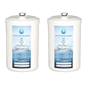 Water Filter Replacement Pack of 2