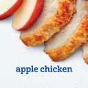 Gerber Stage 2 Baby Food, Apple Chicken, 4 oz Tub (16 Pack)