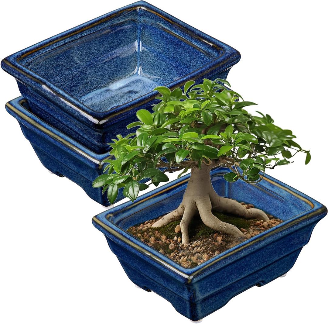 Bonsai Pots Shallow Succulent Planters for Live Bonsai Trees Set of 2, 6.3" Ceramic Pot for Succulents Indoor with Drainage Hole, Outdoor Cactus Plant Bonsai Pot, Ceramic Flower Pot (Blue)