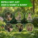 Deer Repellent for Plants, Rabbit Repellent for Garden, Deer and Rabbit Repellent Outdoor, Bunny Repellent, Keep Deer Away from Your Garden/Yard, 90 Days Protection, 12 Packs