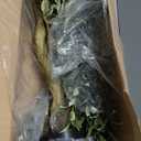 Artificial Fake Olive Tree 4FT Tall 1Pack with White Planter Faux Silk Olive Tree for Home Living Room Office Decor Faux Artificial Plants Indoor with Fruit & Free Moss