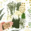 Fabbay 200 Pcs Dried Pressed Flowers Real Dry Natural Flower Leaf Dried Flowers for Resin Pressed Flower Kit for Plant Herbarium Scrapbooking DIY Candle Crafts (White)