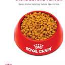 Royal Canin Feline Health Nutrition Spayed/Neutered Kitten Dry Cat Food, 2.5 lb Bag