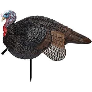 Primos Hunting Lil Gobstopper Jake Turkey Decoy Light-Weight, Collapsible Hunting Decoy 69074, Multi