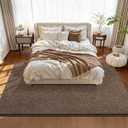 Pettop 5x7 Brown Area Rugs for Living Room Bedroom, Thickened Memory-Foam Throw Carpet, Modern Minimalist Super Soft Kids Boys Girls Rug, Non-Slip and Washable Carpets for Dorm Home Decor