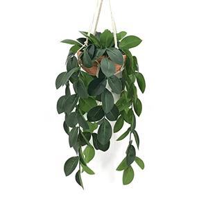 Hisow Hanging Plants Artificial Decor, Fake Hanging Plant in Clay Pot Artificial Hanging Plants with Fake Leaves and Hook for Wall Home Room Indoor Outdoor Décor (Dark Green)