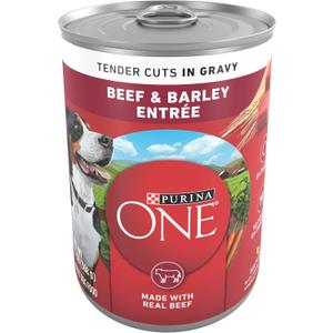 Purina ONE Natural Wet Dog Food Gravy, Tender Cuts in Gravy Beef and Barley Entre - 13 Ounce (Pack of 12) (EXP 09/30/27)