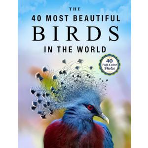 The 40 Most Beautiful Birds in the World: A full color picture book for Seniors with Alzheimer's or Dementia (Vibrant Wonders Picture Books) Paperback