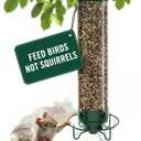 Droll Yankees Squirrel Proof Bird Feeder for Outdoors Rechargeable Weight-Activated Rotating Perch, 5lb Seed Capacity, Metal Base, UV-Stabilized Seed Tube, Hanging Green Yankee Flipper, YF-M