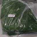 LOOBANI Realistic Artificial Grass Rug Indoor Outdoor, Dog Grass Mat with Drainage Holes and Replacement Artificial Grass Turf, Fake Grass for Garden Lawn Landscape Balcony Decoration, 3 Feet x 5 Feet