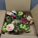 Nearly Natural 24in. Artificial Peony Wreath
