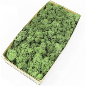 Preserved Reindeer Moss Natural Green DIY Kit Gardenning Art Wall Decor Florist Decor Easter Table Decor Wedding (0.85 lb)