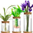 Maxcheck 3 Pcs 3 Sizes Plant Propagation Station Separated Glass Plant Terrarium Water Hydroponic Planter Holder with Lid and Wooden Stand Propagation Vase Pot for Home Indoor Office(Various Sizes)