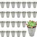 JEUIHAU 25 PCS 5x4.5 inch Galvanized Mini Buckets - Tin Pails for Parties, Ice, Snacks, Craft, Decorations, Garden Planters