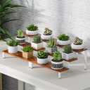 Wooden Display Stand Riser, 3 Tier Perfume Organizer Stand Cupcake Stand Holder, Tiered Display Stand Risers Display Shelf for Home and Shop (White, 4 pcs)