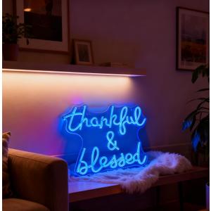 Thankful and Blessed Neon Sign, USB Powered Dimmable Decorative Neon Light for Home Living Room Bedroom Entryway Gratitude Themed Party Decor Wall Table Light Up Sign 14.6 x 12.6 In