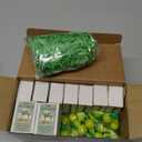 Bulk Employee Appreciation Gift for Social Worker Coworker Office Thank You Small Funny Desk Pets Cute Resin Ornament Party Favor Positive Volunteer Emotional Card Box(25 Set,Turtle)