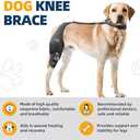 CHAMIN Adjustable Dog Knee Brace for Torn ACL Hind Leg, Support for Tear Ligament, Osteoarthritis, Rear Leg Limp, Recovery After Surgery,et(Right Leg,L)