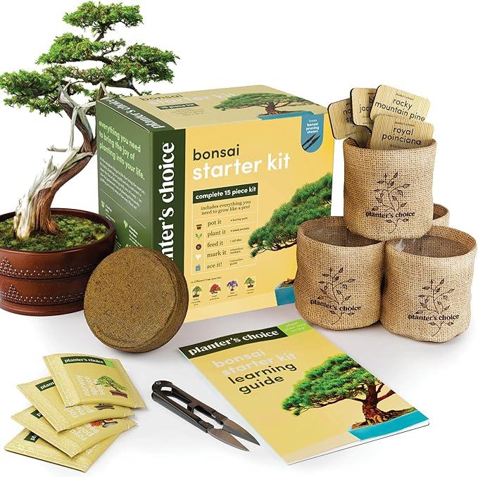 Bonsai Starter Kit - Gardening Easter Gift for Women & Men - Bonsai Tree Growing Garden Crafts Hobby Kits for Adults, Unique DIY Hobbies for Plant Lovers - Unusual Christmas Gifts Ideas