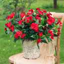 Fake Flowers Artificial Flowers for Outdoor Artificial Impatiens Bouquet Flowers for Outdoors Spring Flowers Artificial Impatiens Outdoor Silk Fake Flowers Indoor Decor 4PCS (Red)