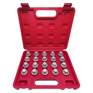 20PCS Wheel Locking Nut Key Kit Compatible with BMW Series, Wheel Lock Nut Socket Bolt Set, Wheel Anti-Theft Lug Nut Removal Tool, Anti-Theft Screw Remover