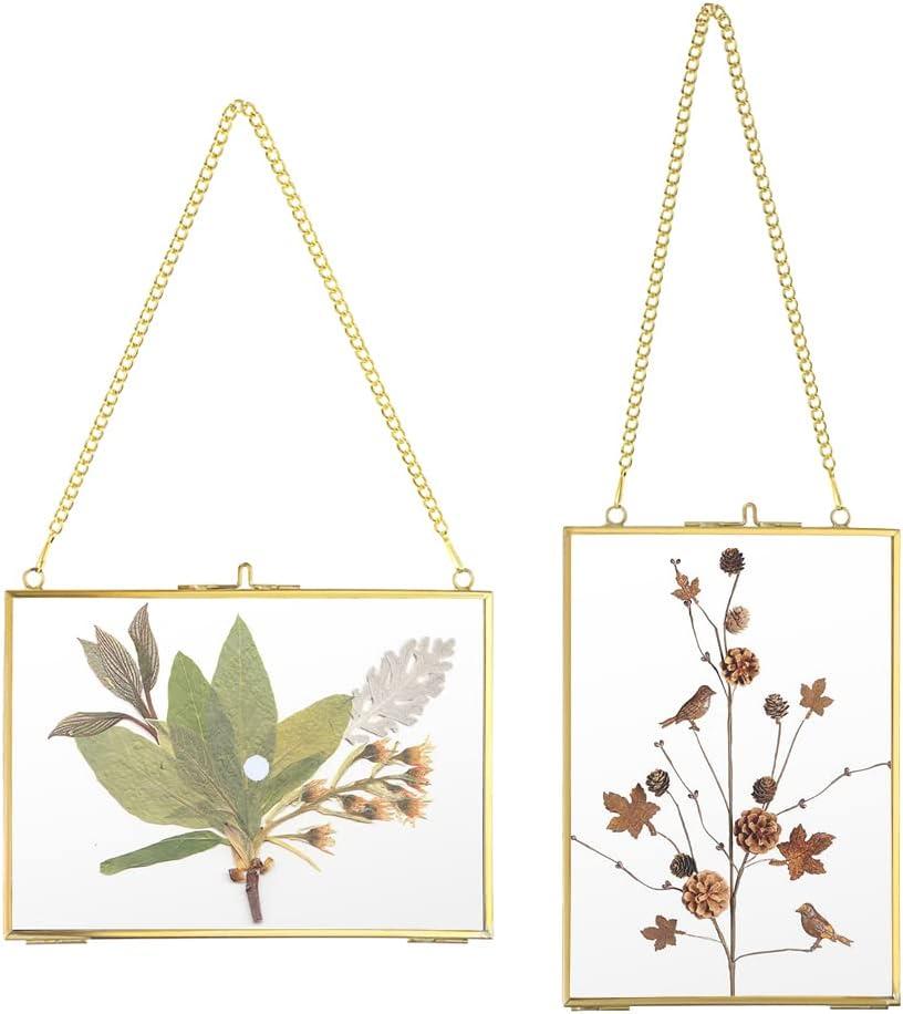 JUXYES Picture Frame, Set of 2 Brass Floater Frame, Golden Glass, 5" x 7", Modern Art Design, Wall Hanging