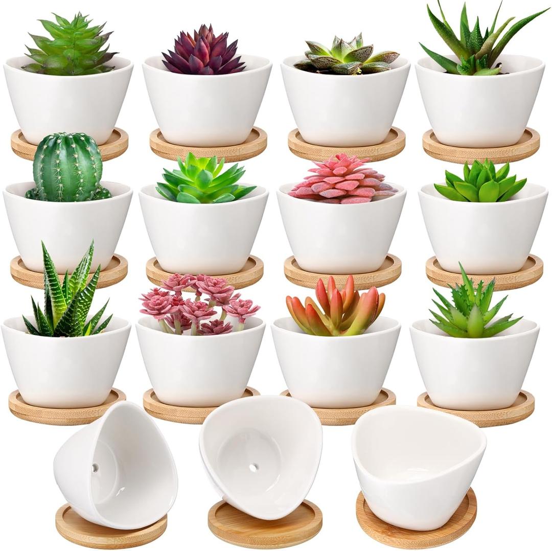 Domensi 12 Pack Succulent Planter Pots 3 Inch Small Plant Pots Mini Ceramic Succulent Planter Holder with Drainage Holes and Bamboo Saucers (White)