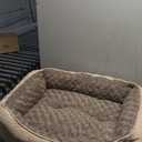 JOEJOY Rectangle Dog Bed for Large Medium Small Dogs Machine Washable Sleeping Dog Sofa Bed Non-Slip Bottom Breathable Soft Puppy Bed Durable Orthopedic Calming Pet Cuddler, Multiple Size, Beige (M(25"x 21"x 8"))