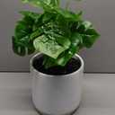 Fake Leaves Plant Pot