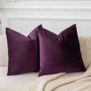 JUSPURBET Eggplant Purple Velvet Throw Pillow Covers 20x20 inch Set of 2 for Living Room Couch Bedroom Decorative Luxury Soft Cushion Cases with Invisible Zipper (Pack of 2)