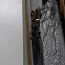 Prepac Elite 32" Storage Cabinet, White Storage Cabinet, Base Cabinet, Bathroom Cabinet with 1 Adjustable Shelf 18" D x 32" W x 36" H, WEB-3216