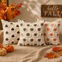 DFXSZ Fall Pillow Covers 18x18 Set of 2 Brown Pumpkins Embroidery Beige