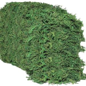 35 OZ Artificial Moss for Fake Plants and Planters - Decorative Faux Moss for Craft and Home Decor (Dark Green)