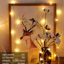 Globe String Lights 43 Ft 100 LED Fairy Lights Plug in with Remote Timer 8 Modes Connectable Twinkle Light for Bedroom Classroom Wedding Christmas Indoor Outdoor Decor, Warm White