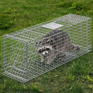 36-Inch Foldable Catch & Release Cage, Heavy Duty Steel Live Trap with Sensitive Pedal Trigger & Carry Handle for Raccoons, Squirrels, Cats, Rabbits, Skunks, Foxes, Groundhogs, Armadillos