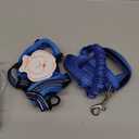 Lukovee No Pull Dog Harness and Leash Set, Soft Padded Small Dog Harness, Neck & Chest Adjustable Reflective Vest Puppy Harness with 4ft Lightweight Anti-Twist Dog Leash for Small Dogs (XS, Blue)